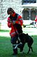 DSC_5285small