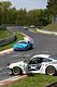 DSC_4604small